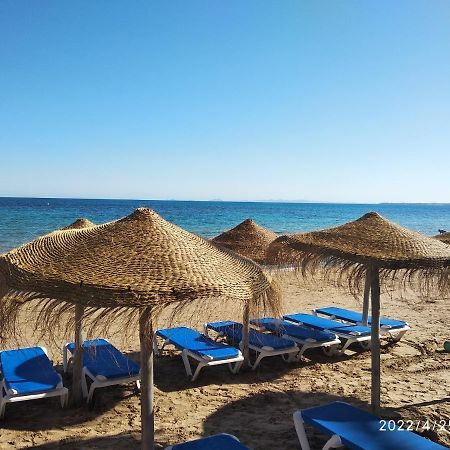 Tango Mango Apartment! Plaza 5 Min, Basen! Τορεβιέχα Εξωτερικό φωτογραφία