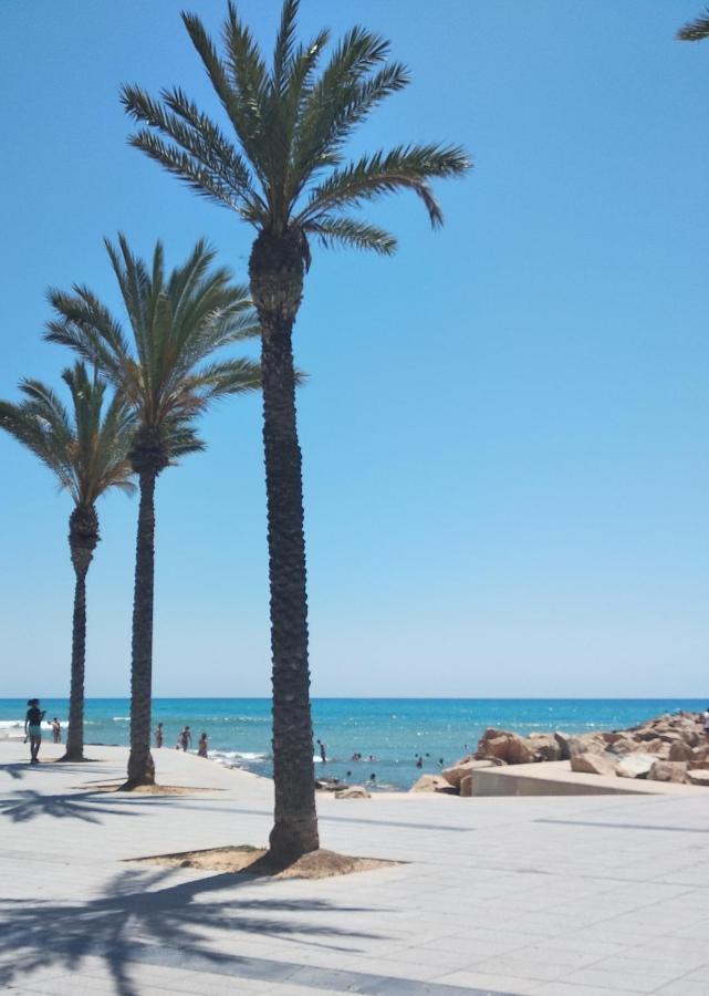 Tango Mango Apartment! Plaza 5 Min, Basen! Τορεβιέχα Εξωτερικό φωτογραφία
